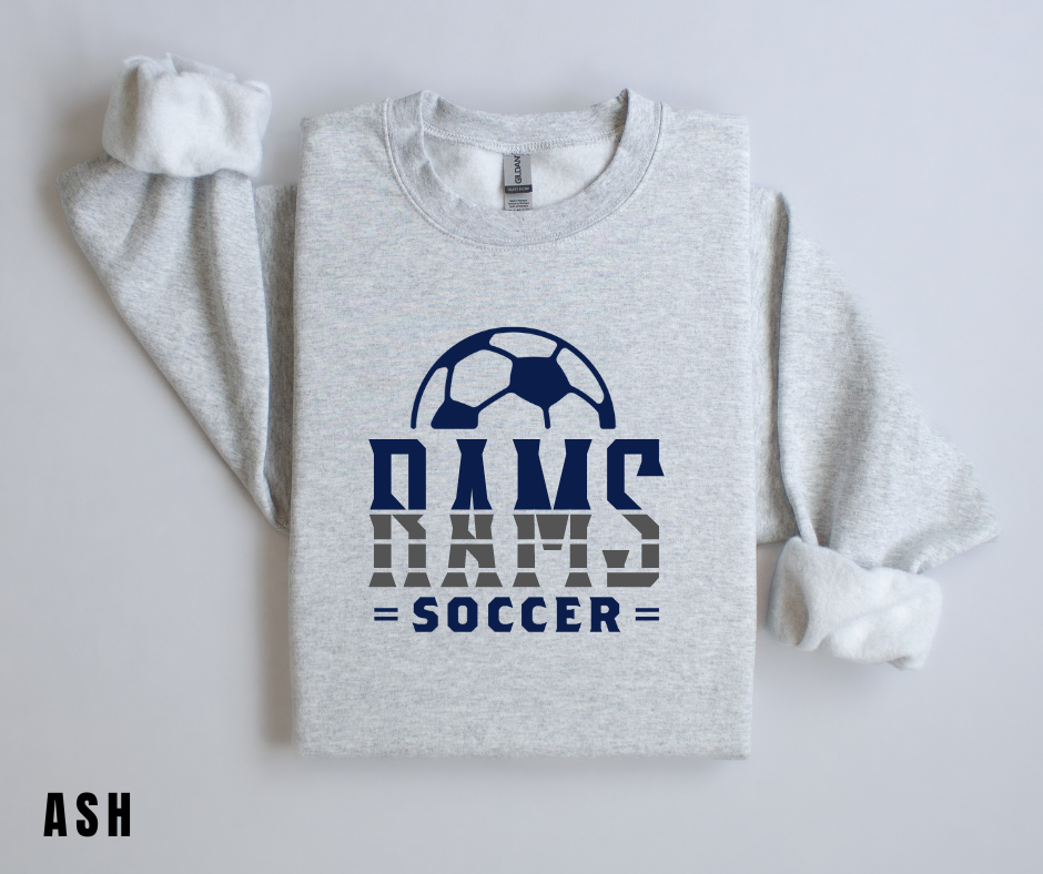 PV Soccer 3
