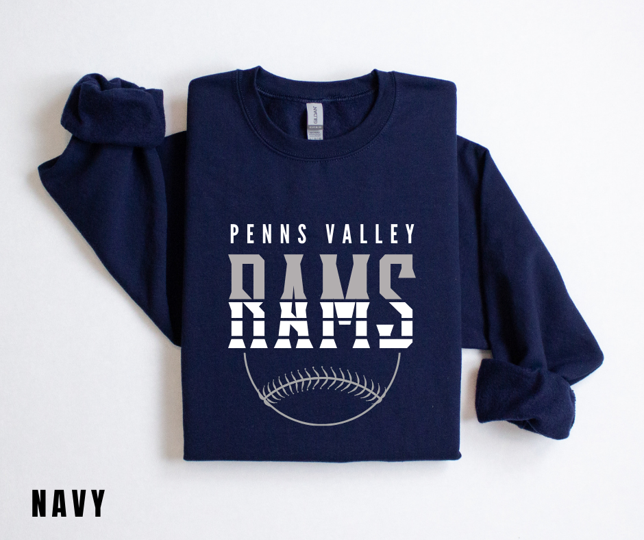 PV Baseball 1