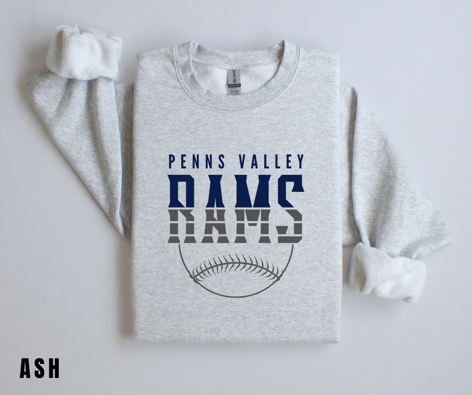 PV Baseball 1