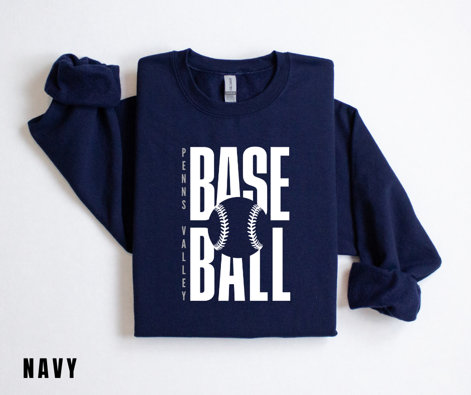 PV Baseball 3
