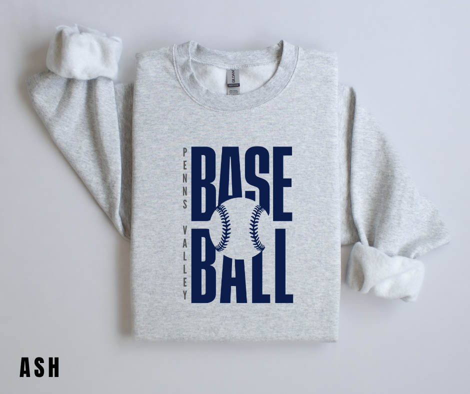 PV Baseball 3