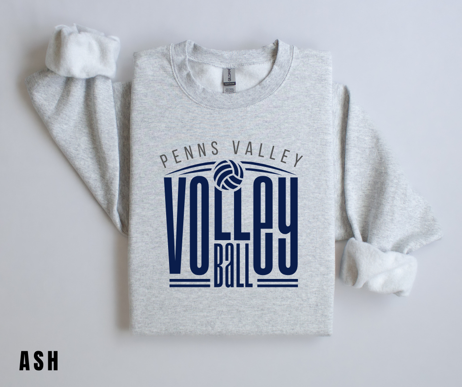 PV Volleyball 1
