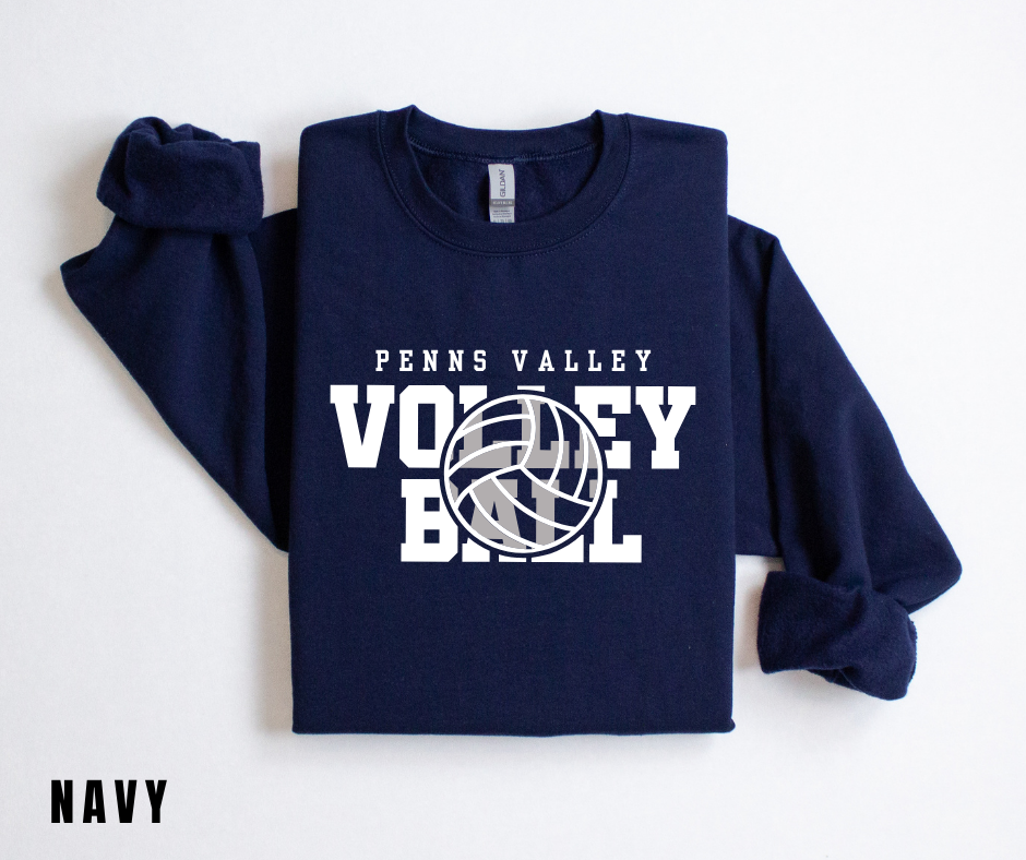 PV Volleyball 2