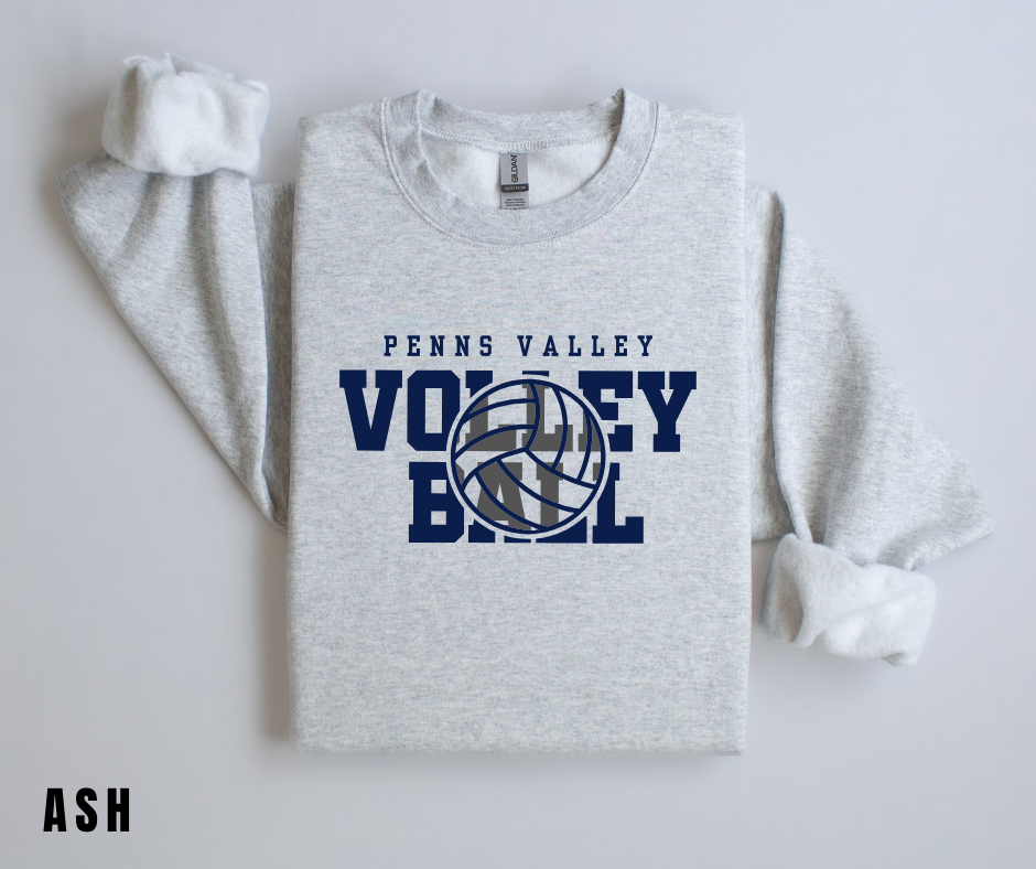 PV Volleyball 2