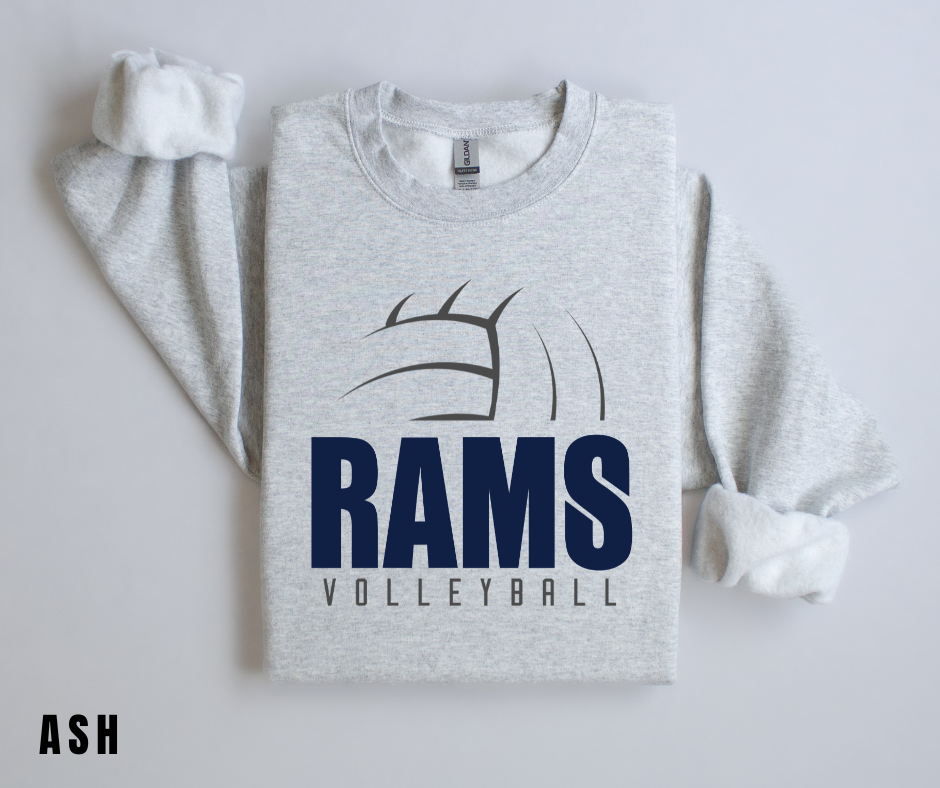 PV Volleyball 3